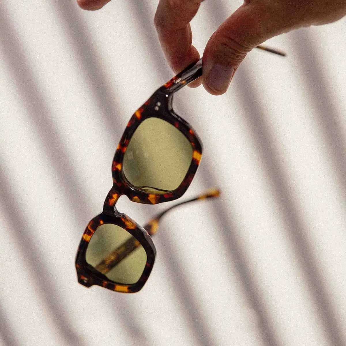 The No Wave - Lunar Tortoise Bio Polarized