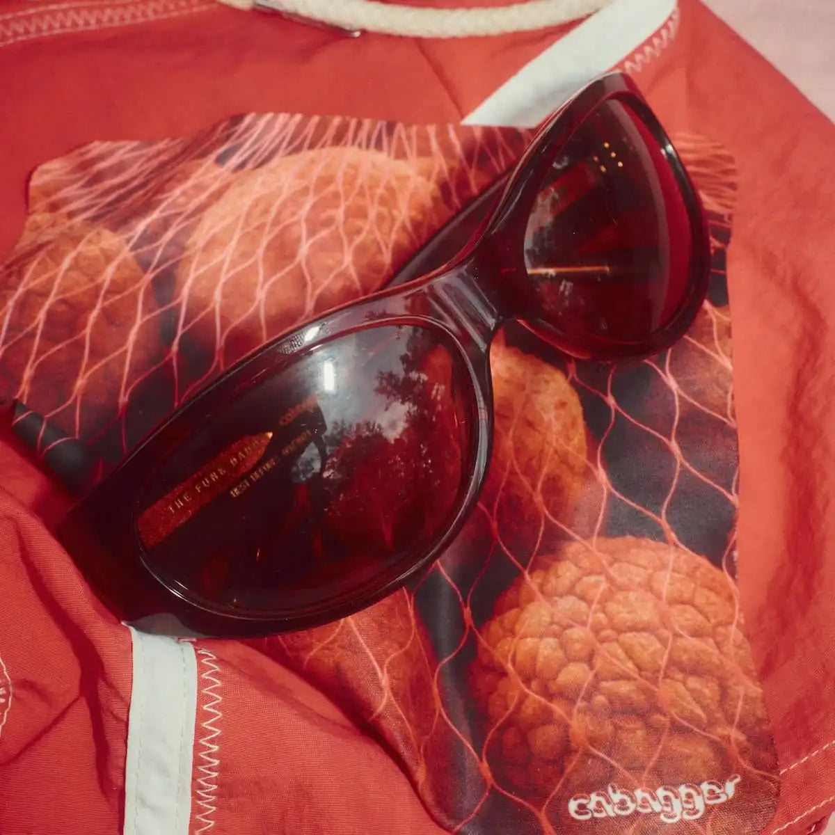 The Funk Daddy - Cabagges Lychee Tortoise Bio