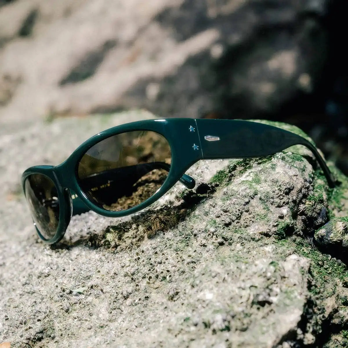 The Funk Daddy - Oblivion Midnight Forest Bio Polarized