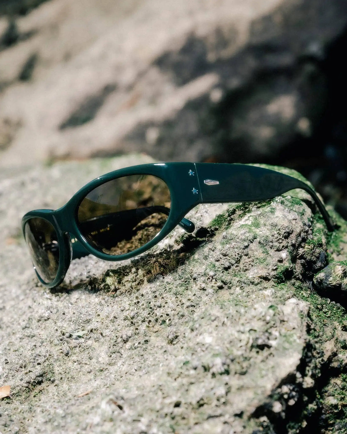 The Funk Daddy - Oblivion Midnight Forest Bio Polarized