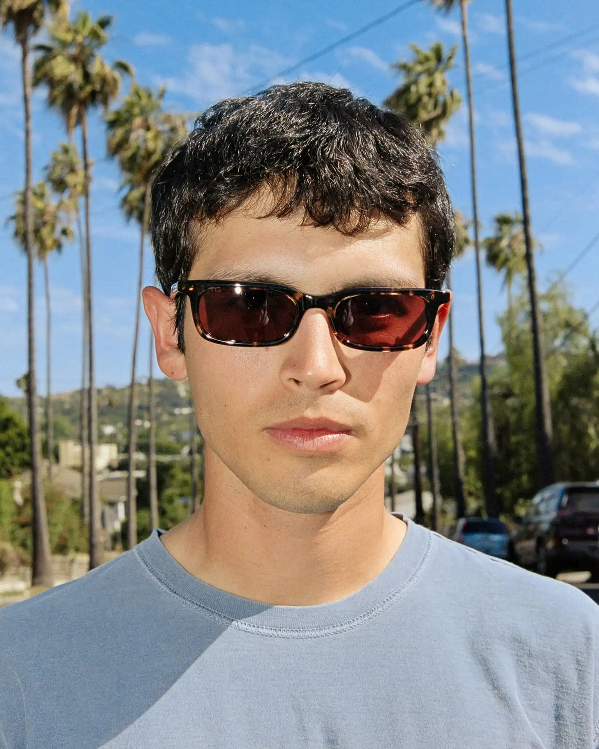 The Idle Daze - Desert Tortoise Bio Polarized