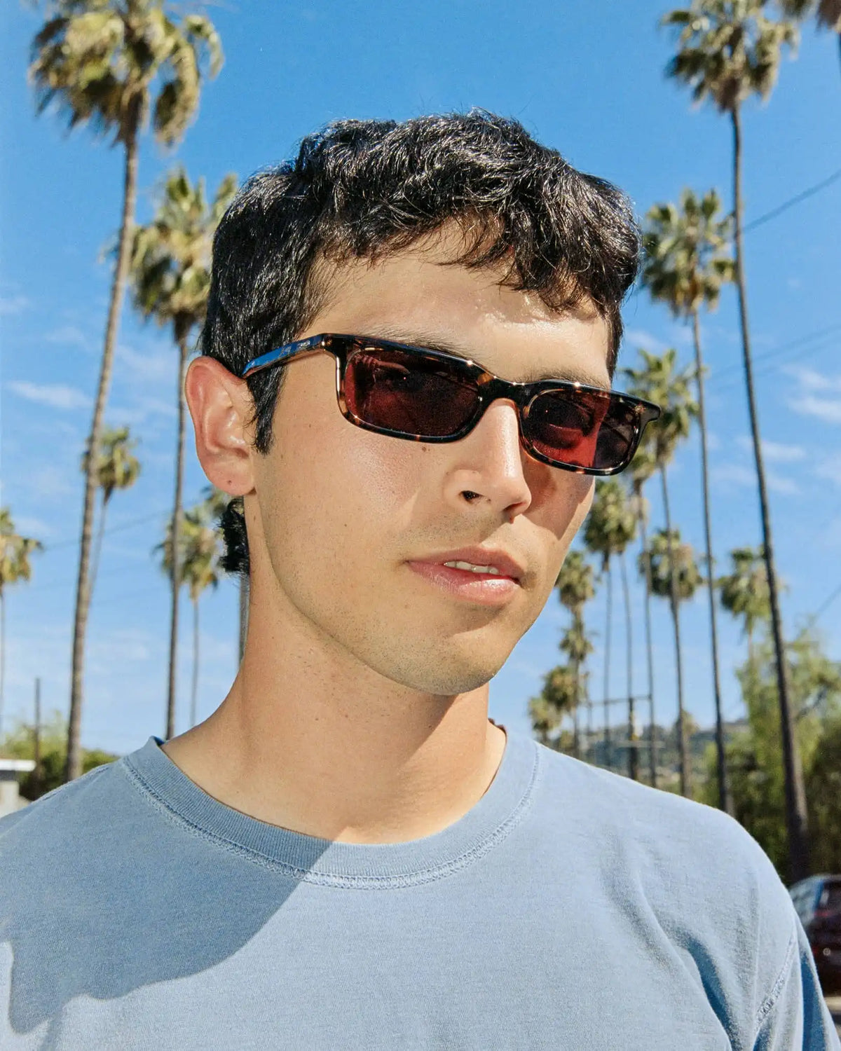 The Idle Daze - Desert Tortoise Bio Polarized