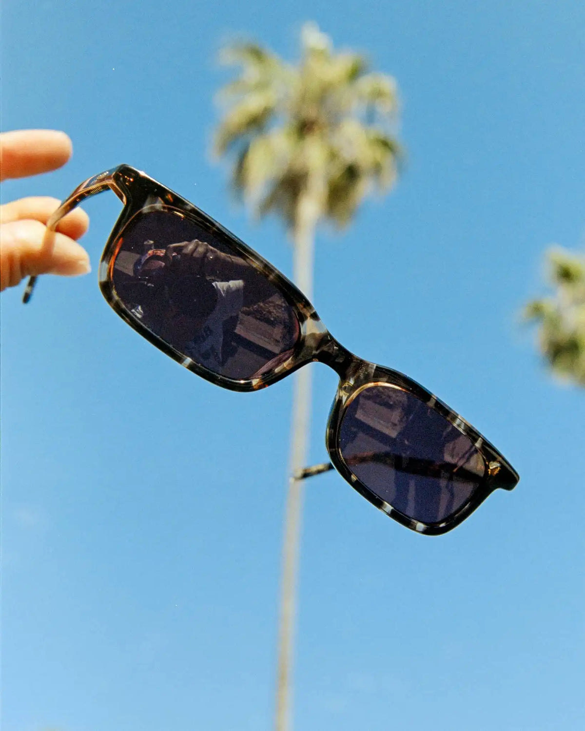 The Idle Daze - Desert Tortoise Bio Polarized
