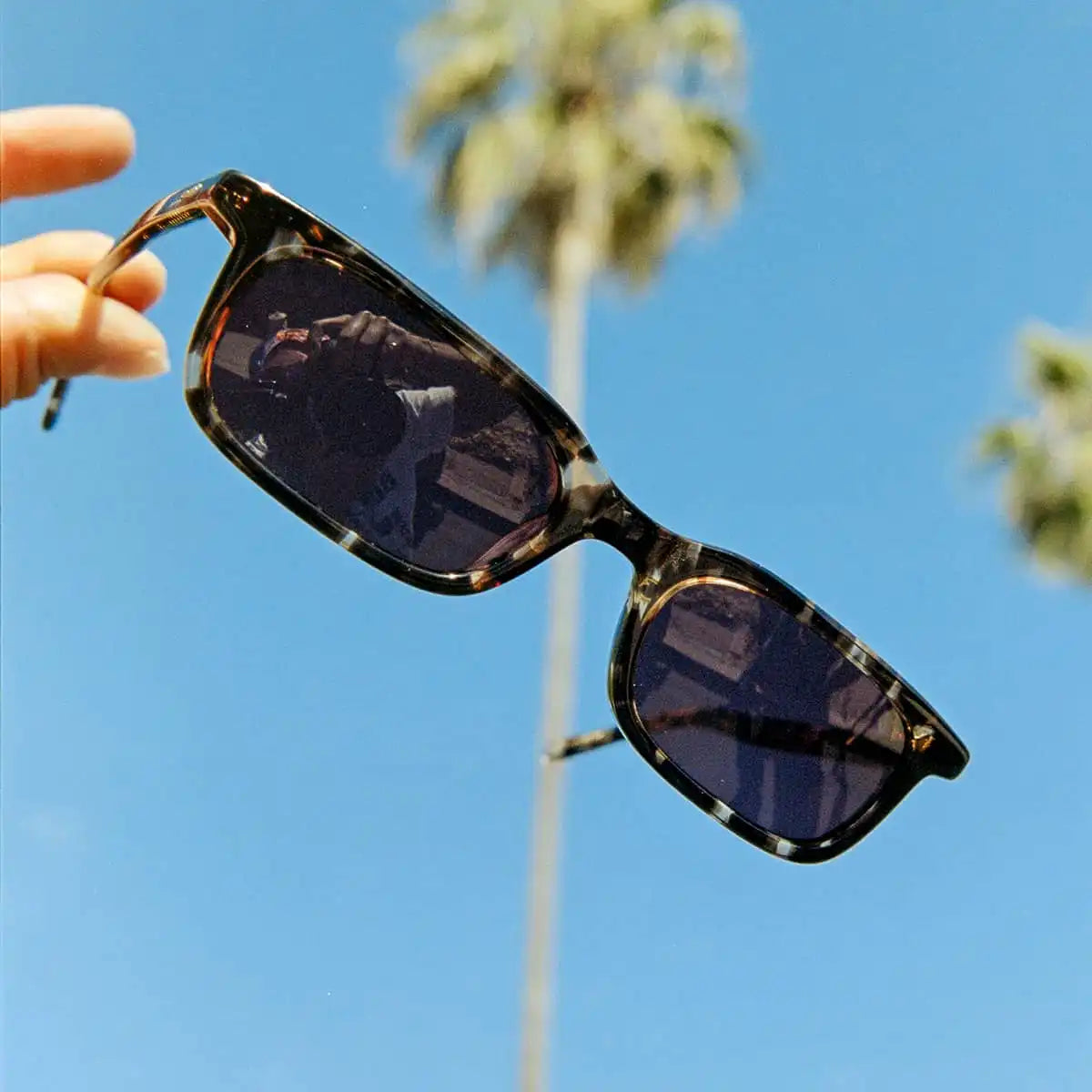 The Idle Daze - Desert Tortoise Bio Polarized