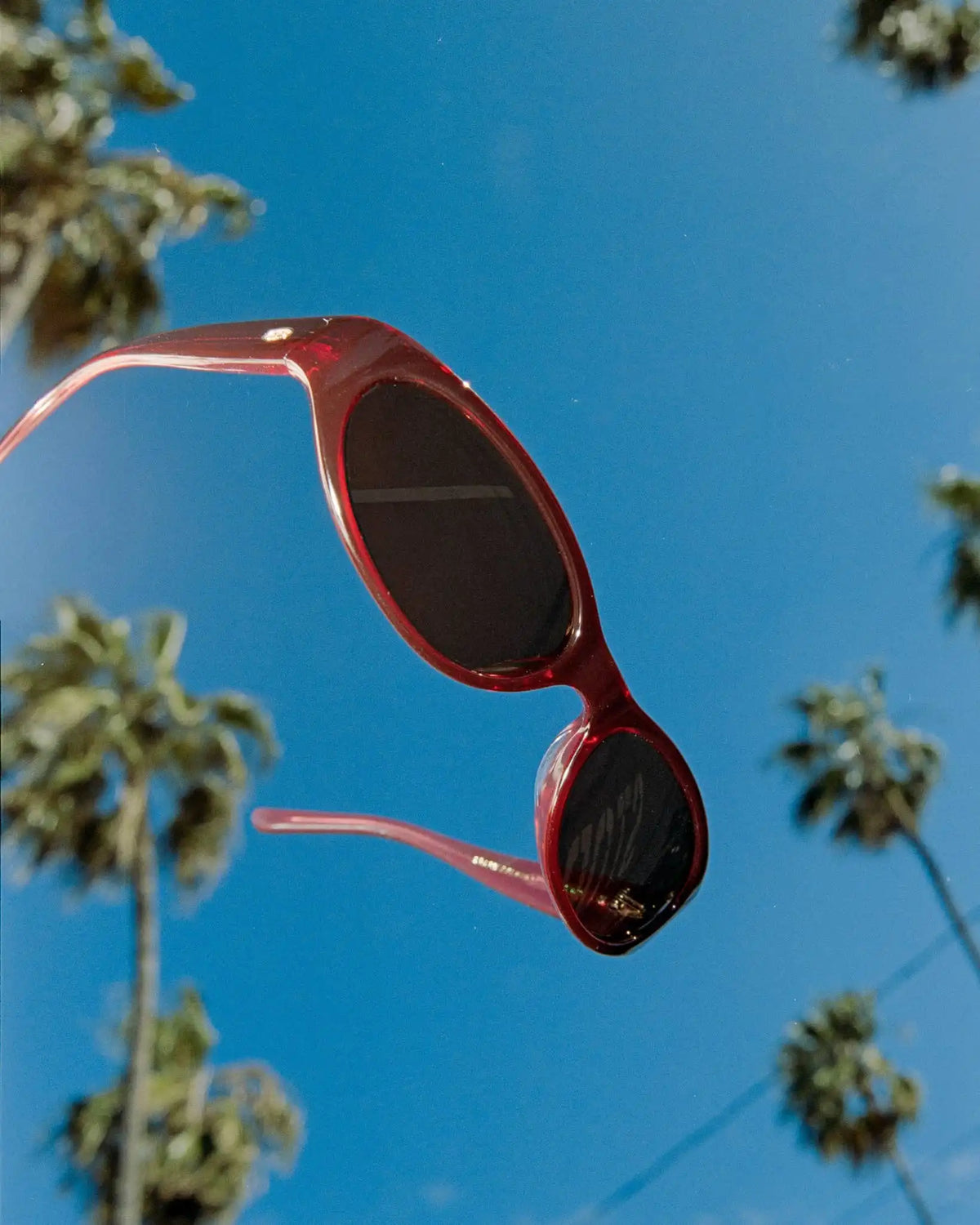 The Mini Funk - Crystal Black Cherry Bio