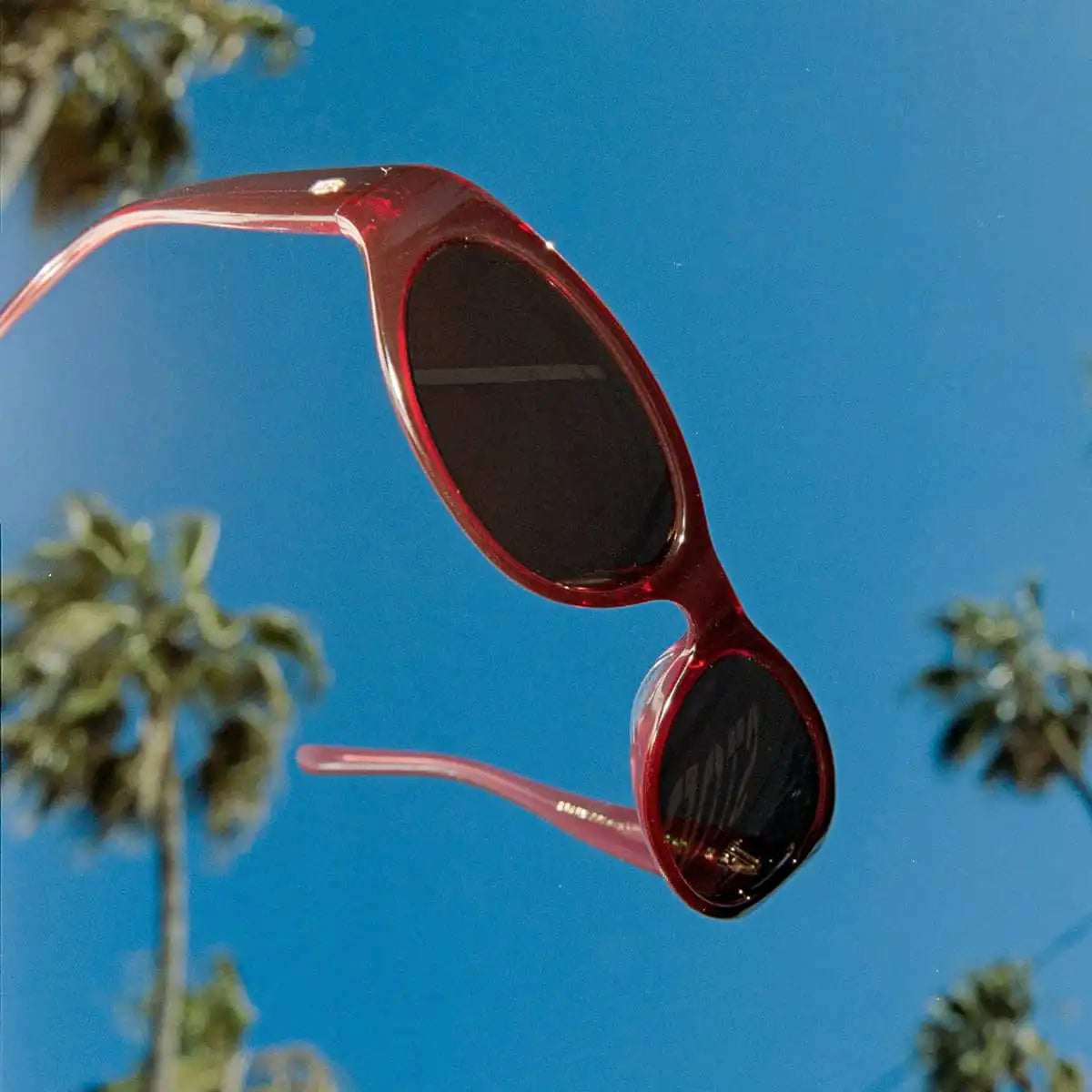 The Mini Funk - Crystal Black Cherry Bio