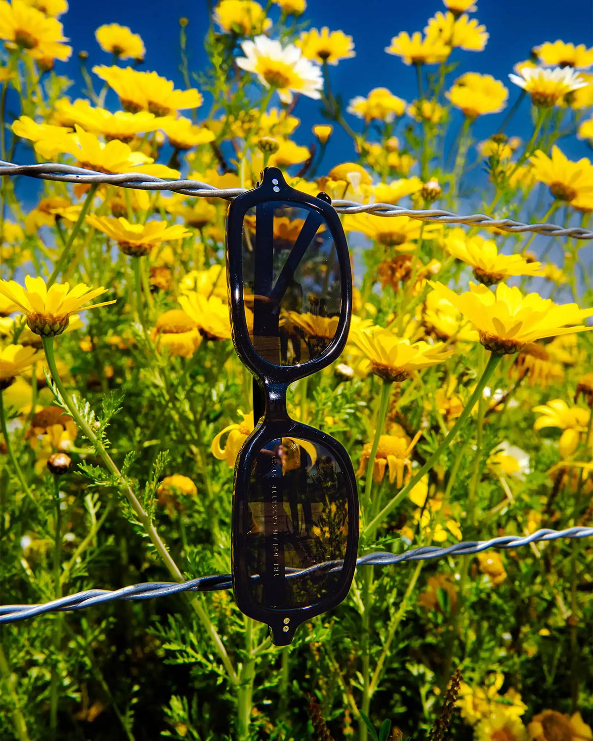 The Dream Cassette - Black Bio Polarized