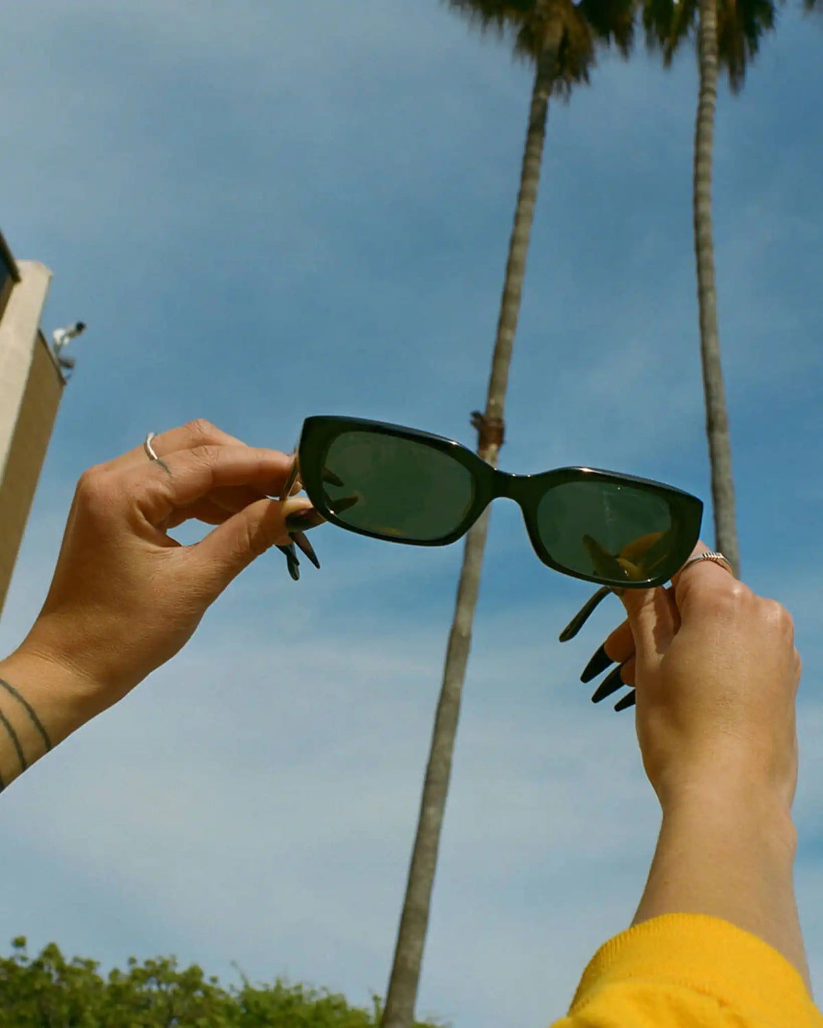 The Gothic Breeze - Black Bio Polarized