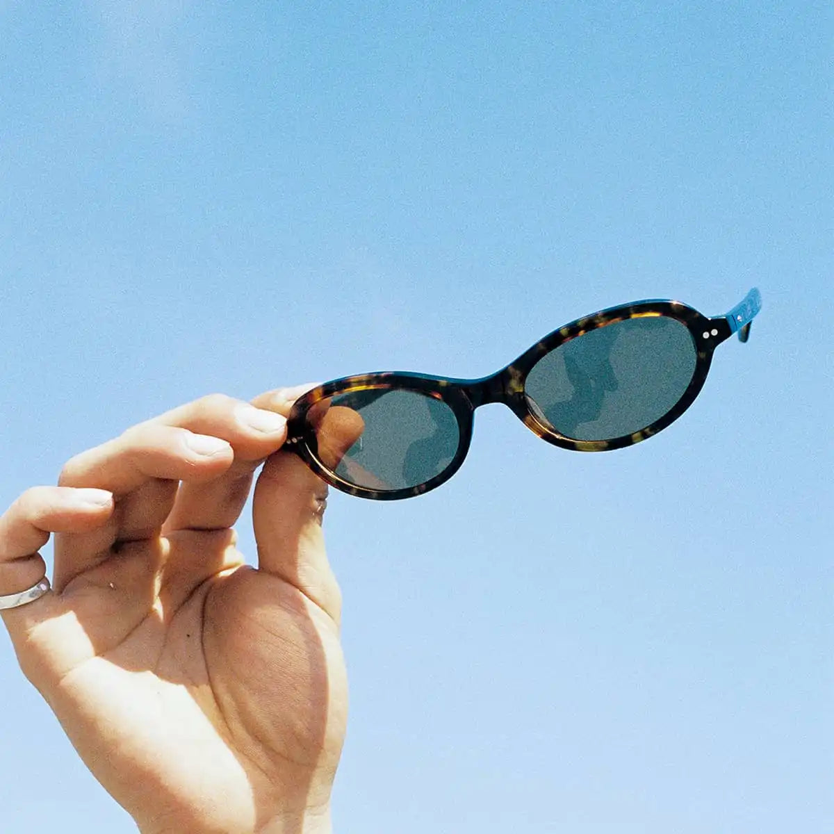 The Marquee Rox - Dark Tortoise Bio