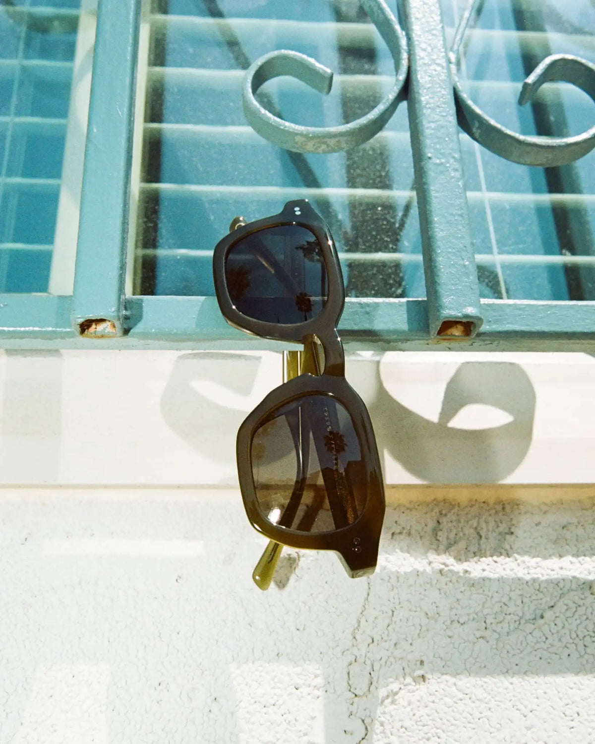 The No Wave - Seaweed Bio Polarized