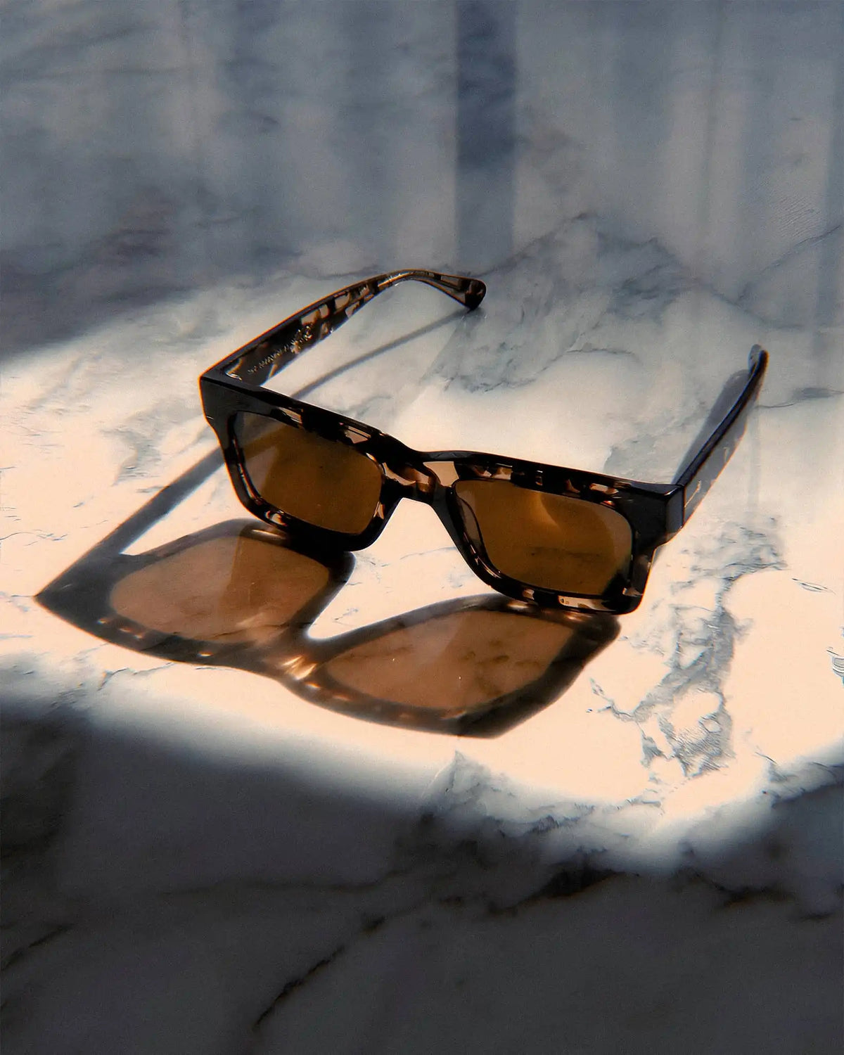 The Speedway - Desert Tortoise Bio Polarized