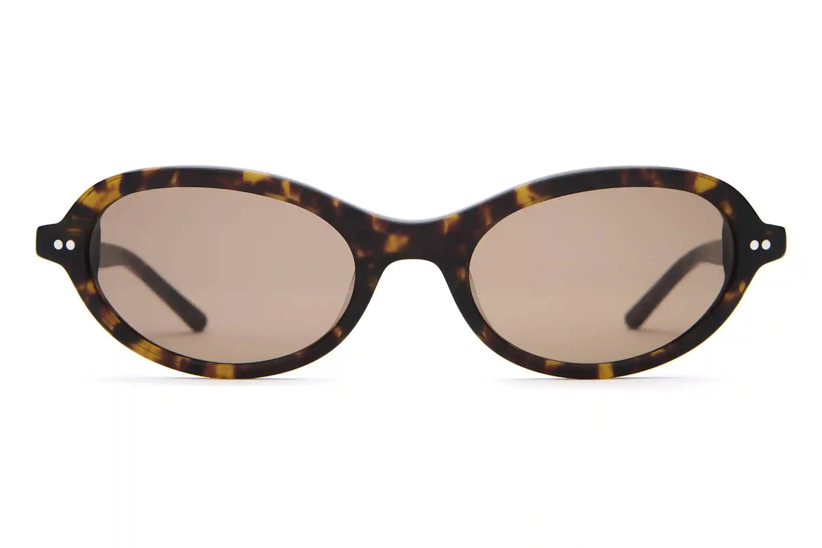 The Marquee Rox - Dark Tortoise Bio