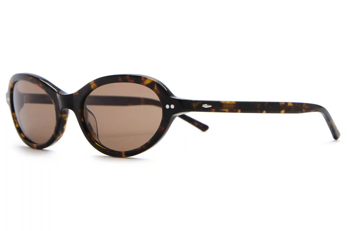 The Marquee Rox - Dark Tortoise Bio